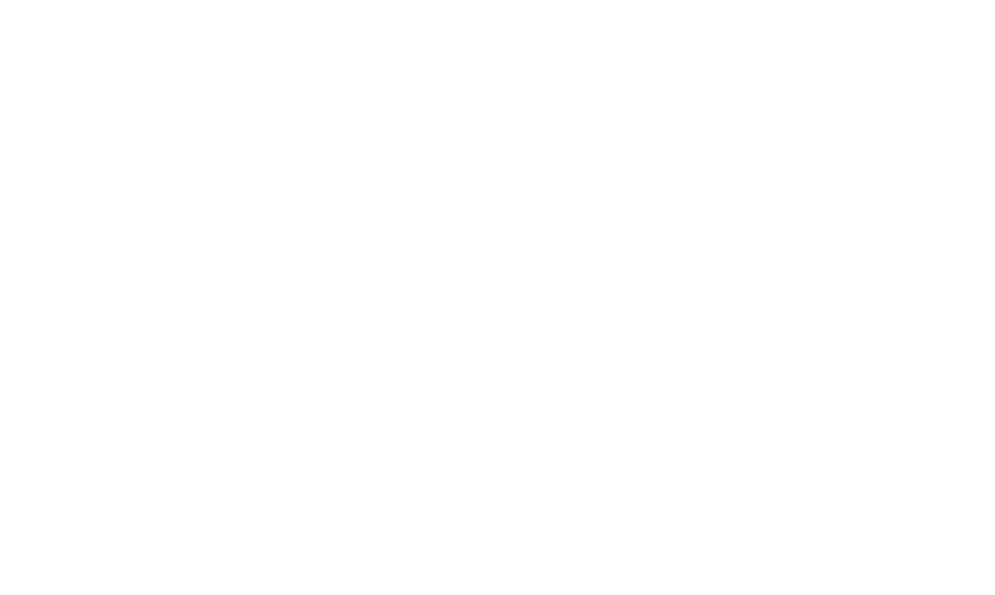 AMC CONSULTANT