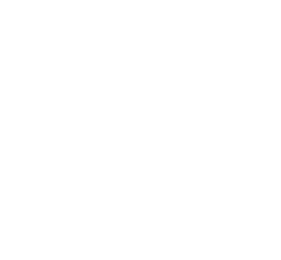 PASHA MARBELS