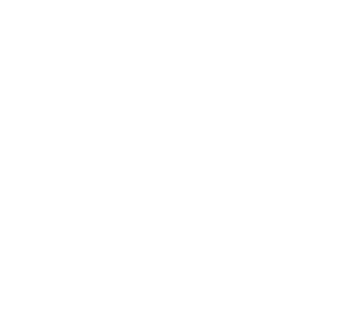 METROVILE ENTERPISES